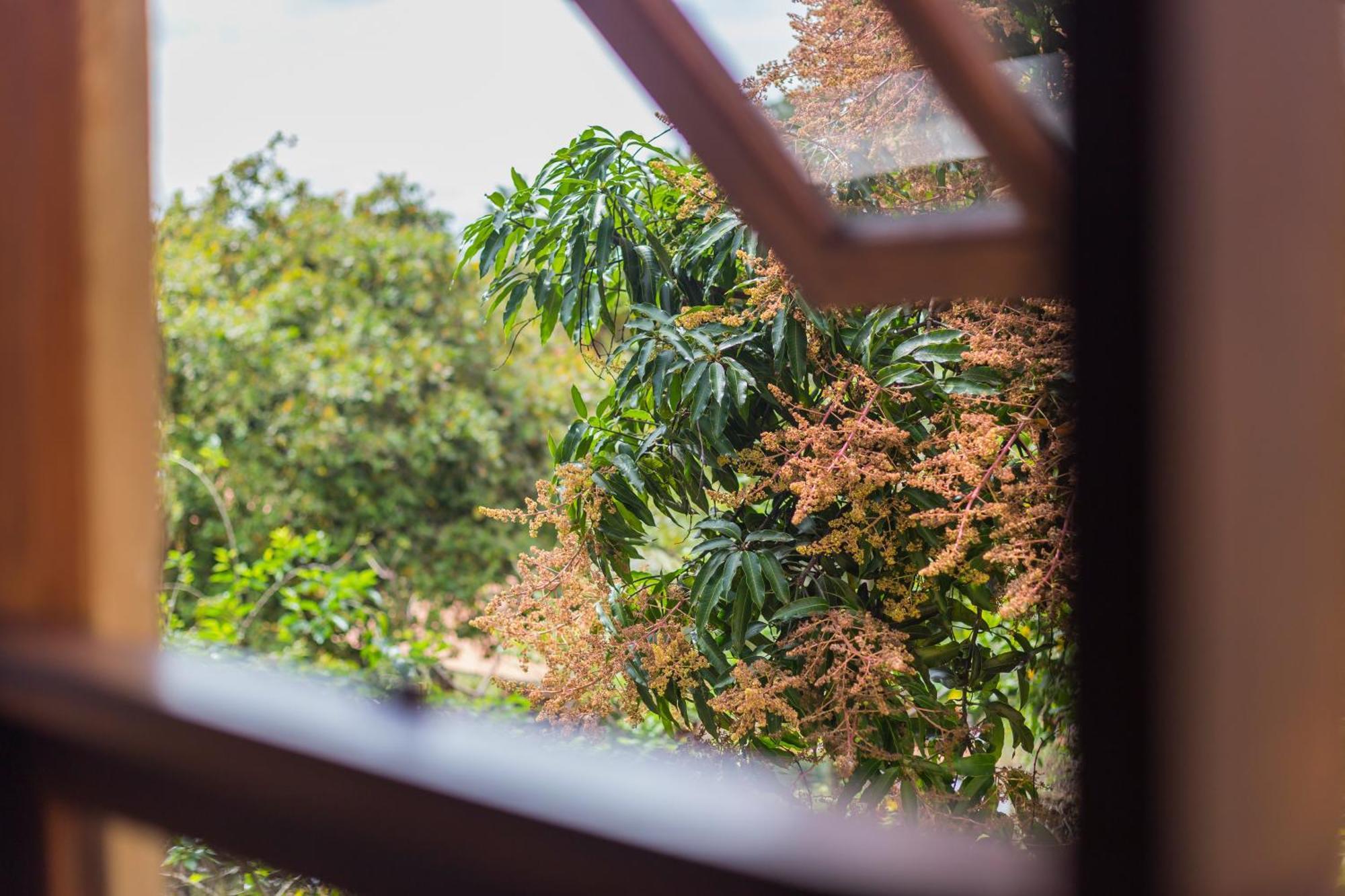 Terra Dos Diamantes Hotel Lencois Ngoại thất bức ảnh